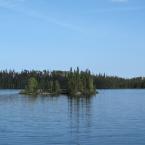 Northern portion of Bartlett Lake
 /    
